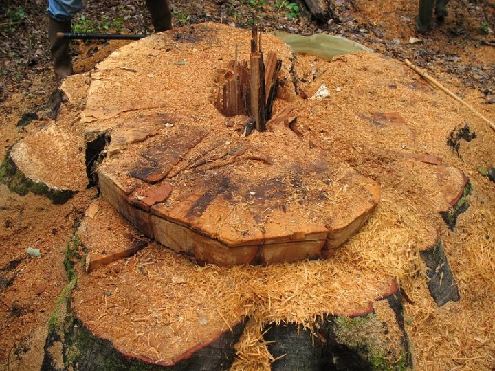 2011 07 Sortie bonus les Plainvaux 07